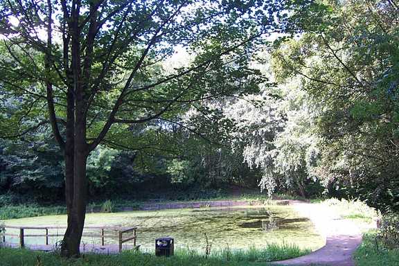 Crabtree Ponds were once part of the landscaped gardens of Crabtree Lodge (now demolished), built in the 19th century.