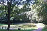 Crabtree Ponds were once part of the landscaped gardens of Crabtree Lodge (now demolished), built in the 19th century.