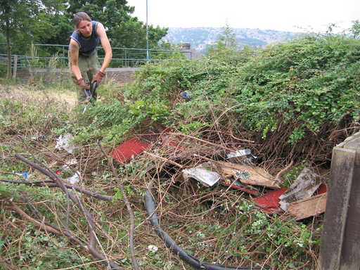 Clearing Nottingham Cliff