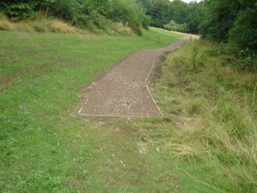 Path into Denholme