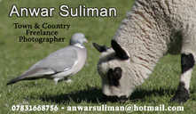 Anwar Suliman - Freelance Photographer