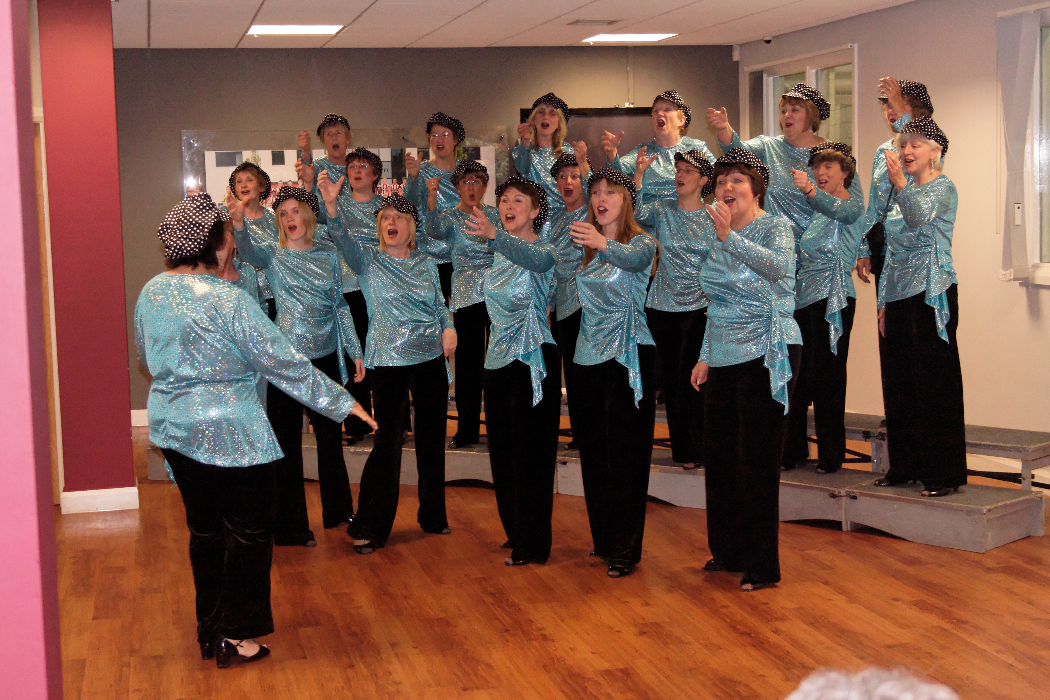 Sheffield Harmony Ladies Barbershop Choir