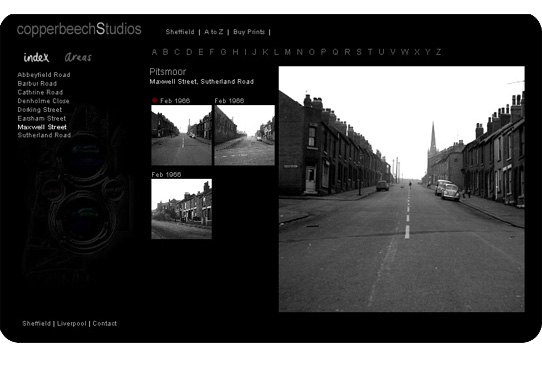 A web-page from the Copper Beech Studios site.