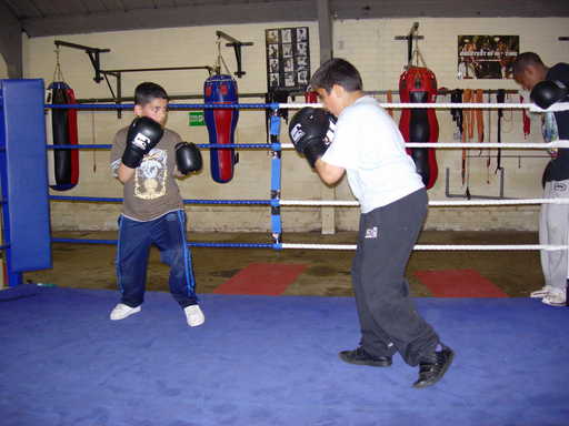 Boxers in the ring