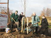 Local residents plant a tree