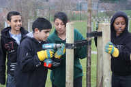 The students worked together to plant the young trees