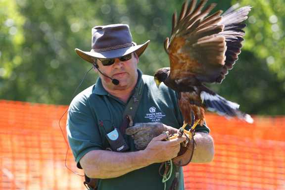 Birds of Prey 