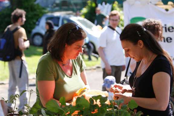 Plant stall