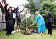 Planting a tree