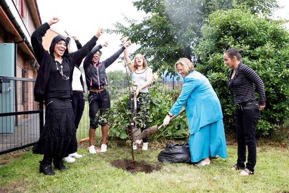 Tree planting