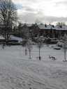 Snow scene in Abbeyfield Park