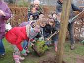 Forestry Brushes Busy Kids Group