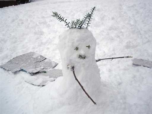 A curly-headed snowman
