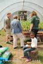 Open day in the polytunnel