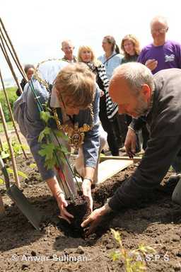 School for veg gets a vine