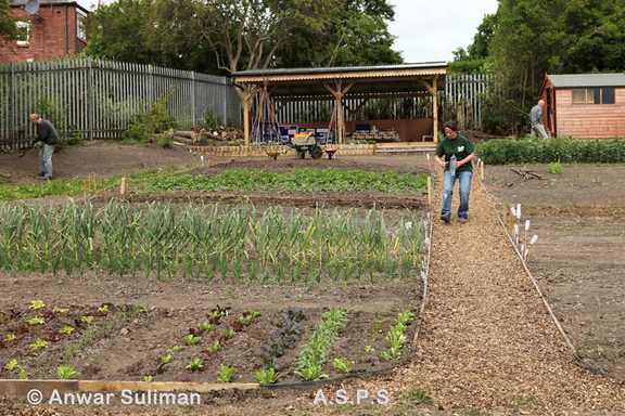 School for Veg Launch waits for visitors