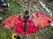 Well Dressing Butterfly 100 3188