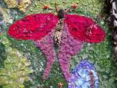 Well Dressing Butterfly 100 3192