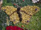 Well Dressing Butterfly 100 3193