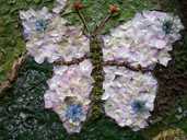 Well Dressing Butterfly 100 3195