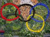 Well Dressing Olympic Circles