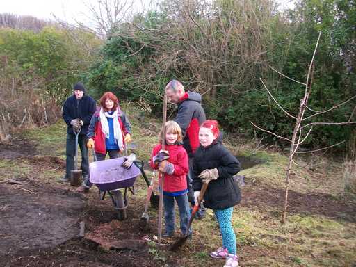 The Forest Garden in January