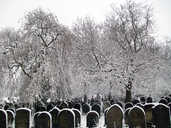 Graves in the snow