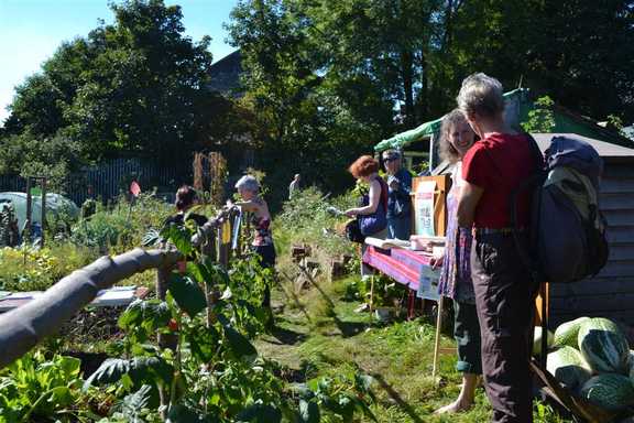 Allotment holders and visitors enjoy the sunshine
