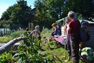 Allotment holders and visitors enjoy the sunshine
