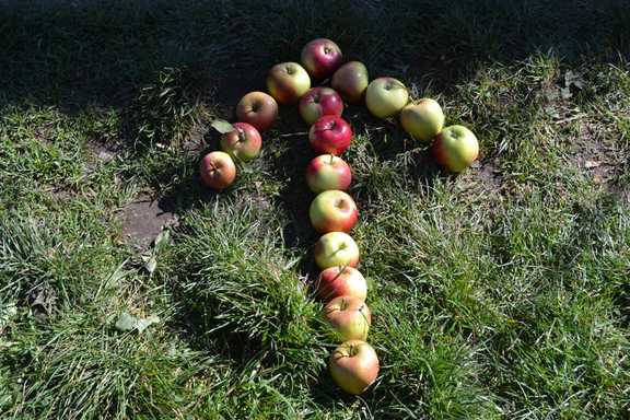 Apple signpost at Allotment Soup