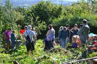There was a great turn out for Allotment Soup